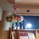 하도살이 이미지