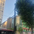 우성제본 | <강남역 양재역 스프링제본> 찐대만족 내돈내산 후기 모닝글로리 강남점!!