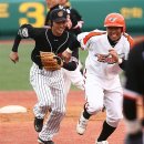 나잡아봐라 이미지