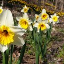 허브세상 이미지