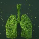 비타민 골프 앤 휘트니스 이미지