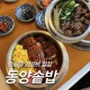 하루한끼 솥밥 | [수원역] 수원역 로데오거리 맛집 한끼 든든한 ‘동양솥밥’ 후기