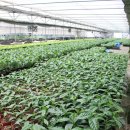 희정농장 이미지