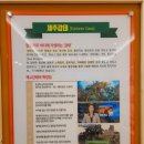 토르마린저온찜질방 네이버블로그