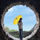 하슬라플라워 | 강릉 가볼만한곳 하슬라아트월드 부모님과 방문한 후기