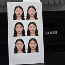 반달로7번길 | 📸 수원 영통 여권사진&amp;면허사진 잘 찍는 곳봄날의기억사진관 후기 + 재발급 꿀팁 총정리