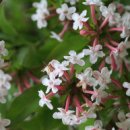 수원-이의-이의-05 이미지