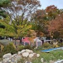 운문사계절캠핑장 이미지