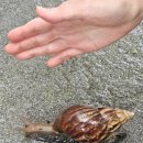 보라네민박 이미지