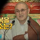 가람법의의원 이미지