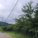 느티나무농원 이미지