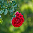 정관 구목정공원 이미지