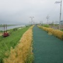 양산천변 이미지