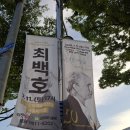 낭만콘서트 - 홍성군 의사로 50 | 『 가수 최백호 낭만의 50주년 콘서트 』 관람 후기 “ 시간의 흔적을 노래하다 ”