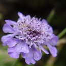 행복한하루 이미지