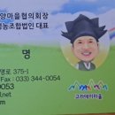 고라데이민박 이미지
