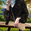 벌룬플라워 이미지