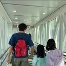 일등건어물 | ✈️ 삿포로 여행, 공항에서 200% 즐기기 (ATM 기계부터 즐길거리까지!)