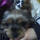 괴정1동-11 이미지