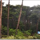 안면도자연휴양림 이미지