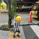 스토피아아카데미 | 어린이집 친구들과 함께 다니는 판교 축구 아카데미, 스토피아 (내돈내산)