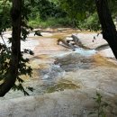 미륵산장 | 충주 계곡 평상 백숙 제천 송계계곡 팔랑소산장 후기
