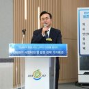 빛가람청과