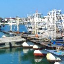 중도매인 7번 이미지