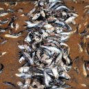 남해-220 이미지