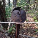 두타연이목정관광안내소 이미지