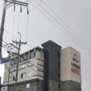 나무늘보호텔 이미지