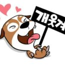 멍,멍# 이미지