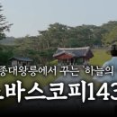 노바뮤직 이미지
