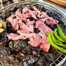 풍만돼지