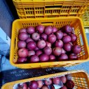 청과야채창고