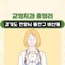 두개비산로_2 | 경기도 안양시 동안구 비산동 교정치과 총정리