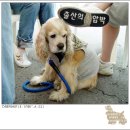 디디동물병원 이미지