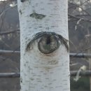 2025년 문학고을 계간지 등단 당선 신인문학상 서경미 시인 이미지