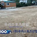 신북초등학교 이미지