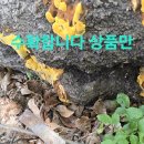 어부지리 이미지