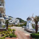 팜풀빌라 이미지