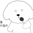 스피트카 이미지