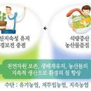 (자연의 법칙에 순응하는 생활) 39. 친환경 농업과 자연농업 이미지