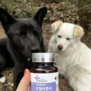 엘로이유통 이미지