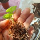 지피피드 이미지