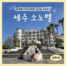 제주아기랑숙소_함덕해수욕장이 5분컷! 대명리조트 소노벨 패밀리 (클린)룸 18개월 아기와 이용후기!