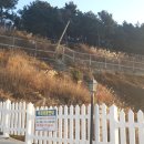 요트경기장 앞 이미지