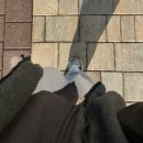 에스소프트 (S soft) | 로우클래식 후드집업 차콜 M 사이즈 실착 후기｜로우 소프트 스웻 집업 후디 무신사 구매