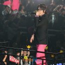 대성관광㈜ 이미지