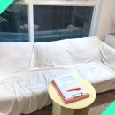 슈퍼왁싱 강남점에서 느낀 완벽한 브라질리언 왁싱 후기